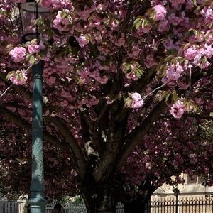 Meet your Posher, Isabella